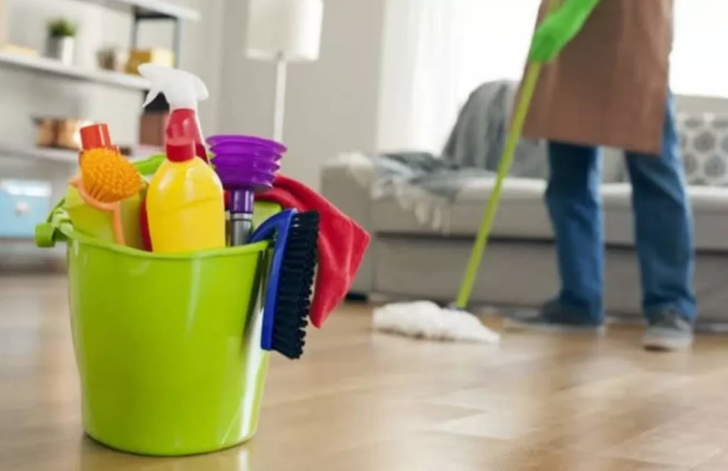 pengertian cleaner