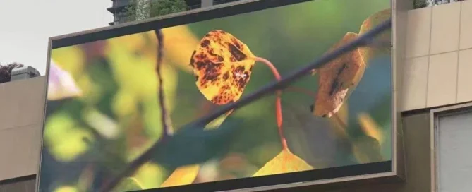 tinggi ideal videotron