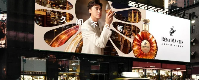 megatron ikan media promosi