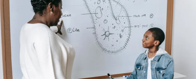 smart board wikipedia merangkum sejarah dan fakta papan interaktif