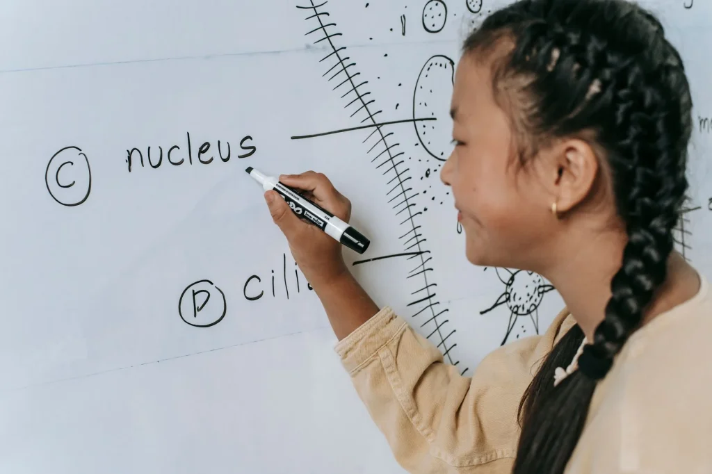 LP Smart Board dan perbedaan smart board interaktif