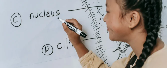 LP Smart Board dan perbedaan smart board interaktif