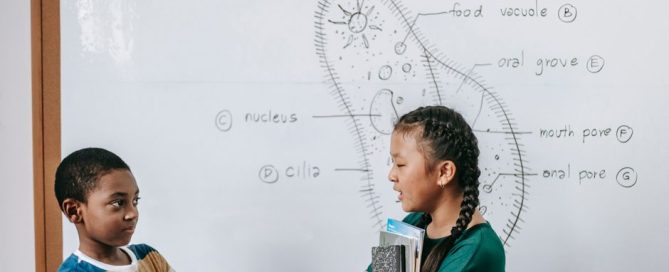 smart board projector