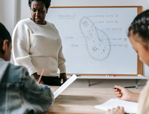 Smart Board Software for Teachers Free: Pilihan Terbaik Gratis